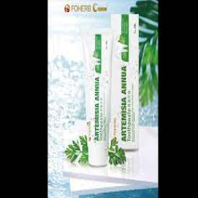 TOOTHPASTE (আর্টেমিসিয়া অ্যানুয়া টুথপেস্ট)